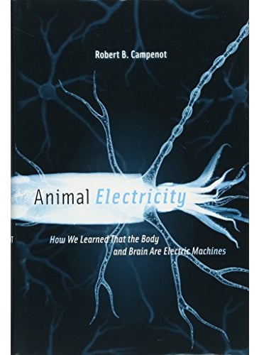 Animal Electricity: How We Learned That the Body and Brain Are Electric Machines 