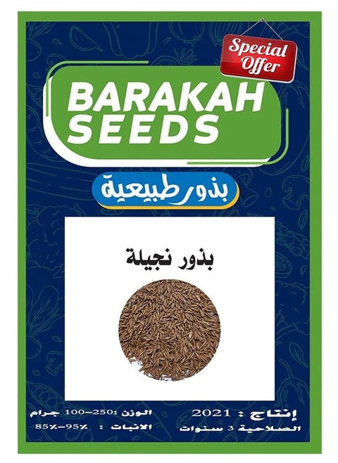 Bermuda grass seeds, 100 grams, enough for 4 square meters