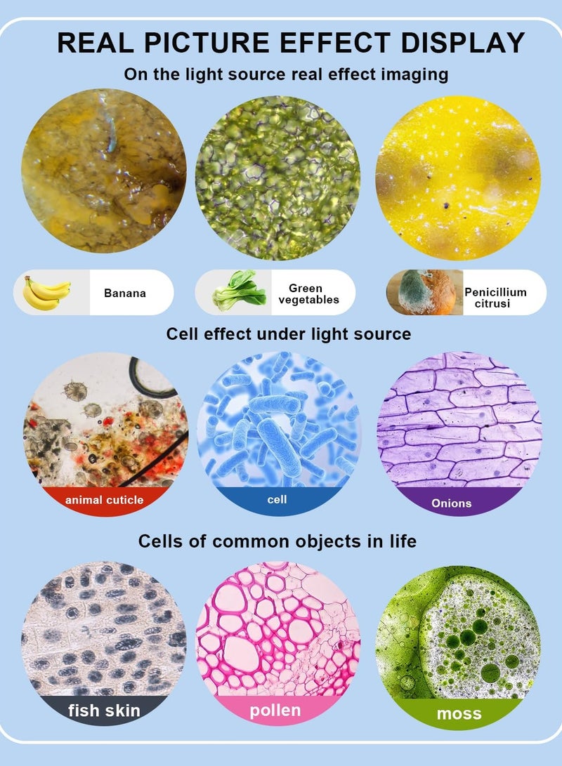 جوبيلين مجهر للكبار والصغار، مجهر مركب عالي الطاقة 40X-2000X للكبار والصغار، مجهر مركب عالي الطاقة للطلاب والمختبر المدرسي والتعليم المنزلي، مزود بمجموعة شرائح وحامل هاتف - Image 3