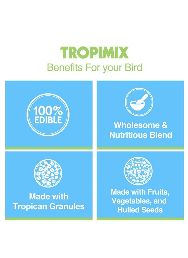 Tropimix Bird Food For Cockatiels And Lovebirds, Hagen Parrot Food With Seeds, Fruit, Vegetables, Vitamins & Amino Acids, 8 Pound (Pack Of 1) - pzsku/Z3F33054CF074A4961193Z/45/_/1726220459/911d7318-35d3-426b-bed9-984693443f71