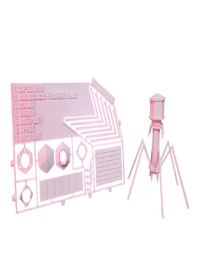 Beoals Educational 3D Bacteriophage Model Kit, Multicolor, DIY Assembly - Image 1