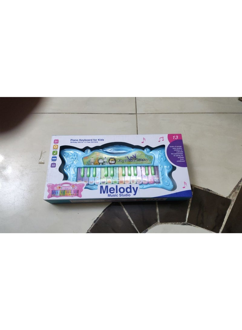 Kids Electronic Piano Keyboard 13 Keys with Music & Animal Sounds | Educational Musical Toy for Early Learning Age 3+