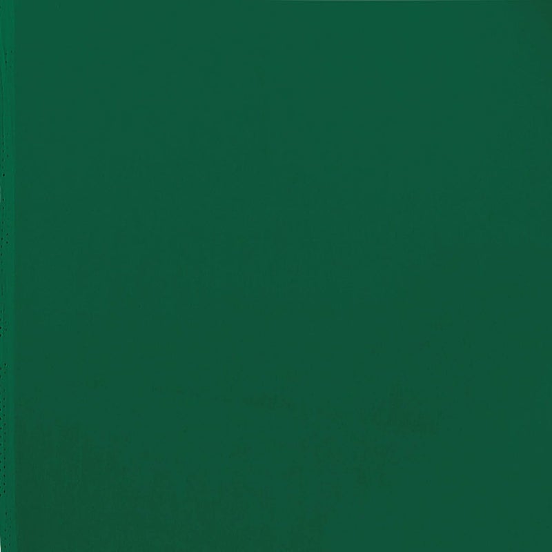 Sidhidata ساري سيدي داتا النسائي الباكستاني الأخضر من جورجيت مع قطعة بلوزة غير مخيطة - Image 5