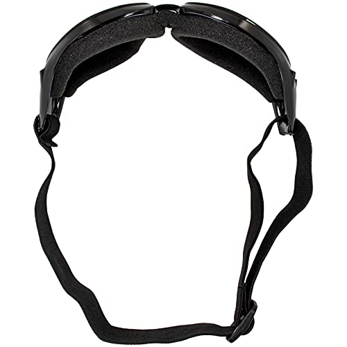 Birdz Eyewear Eagle Motorcycle Goggles (Black Frame/Smoke Lens) - Image 5