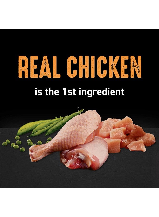 كريف طعام القطط الجاف الطبيعي عالي البروتين وخالي من الحبوب من CRAVE للبالغين مع بروتين من الدجاج، كيس 4 رطل - Image 4