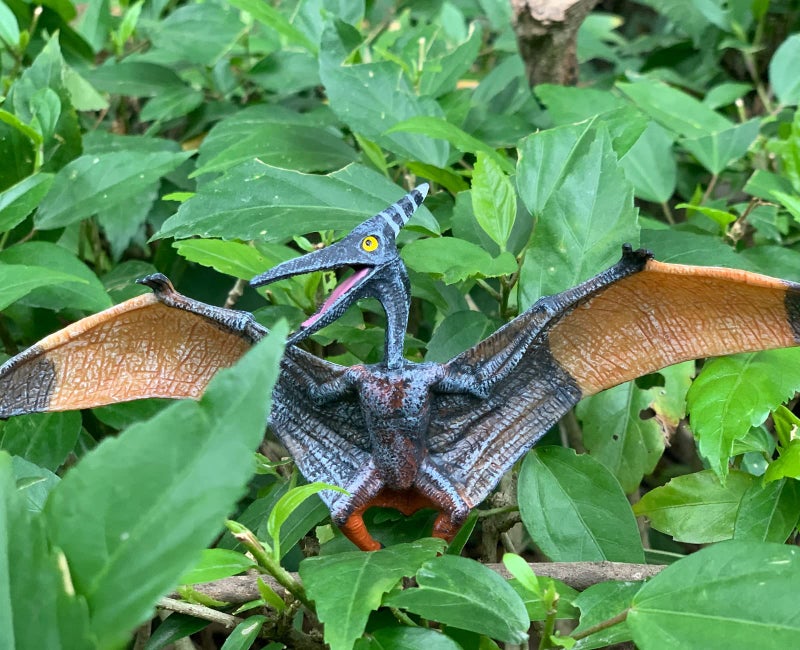 Gemini&Genius Pterodactyl Dinosaur Toys, Flying Dinosaur Figurine, Pteranodon Toys, Pterosaur Model Great Gifts and Cake Toppers or Kid - Image 4