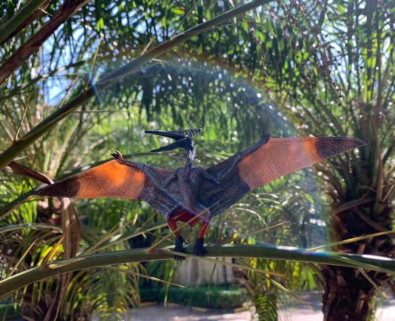 Gemini&Genius Pterodactyl Dinosaur Toys, Flying Dinosaur Figurine, Pteranodon Toys, Pterosaur Model Great Gifts and Cake Toppers or Kid - Image 5