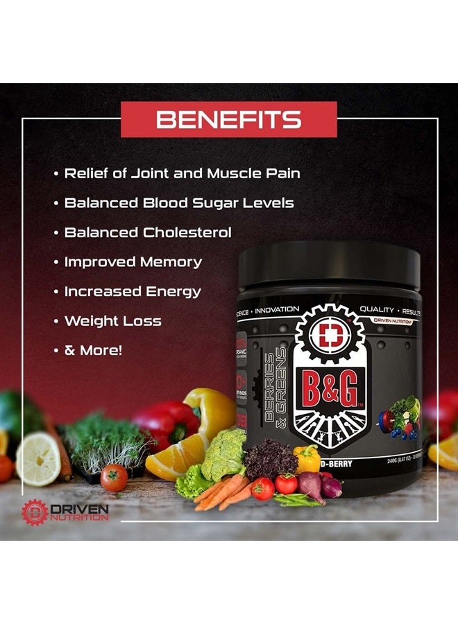 Driven Nutrition Driven B&G Berries & Greens Superfood Powder, 30 Servings - Organic Plant-Based Formula with Probiotics & Digestive Enzymes - Vegan Supplement Supports Recovery, Healthy Digestion, and Immune Function - Image 2