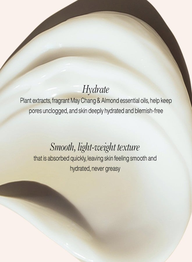 OW Organic Works Daily Hydration Renewal Night Cream - Nourishing Night Cream with Camellia Sinensis and Lavender - Suitable for All Skin Types - 1.69 oz - Image 5