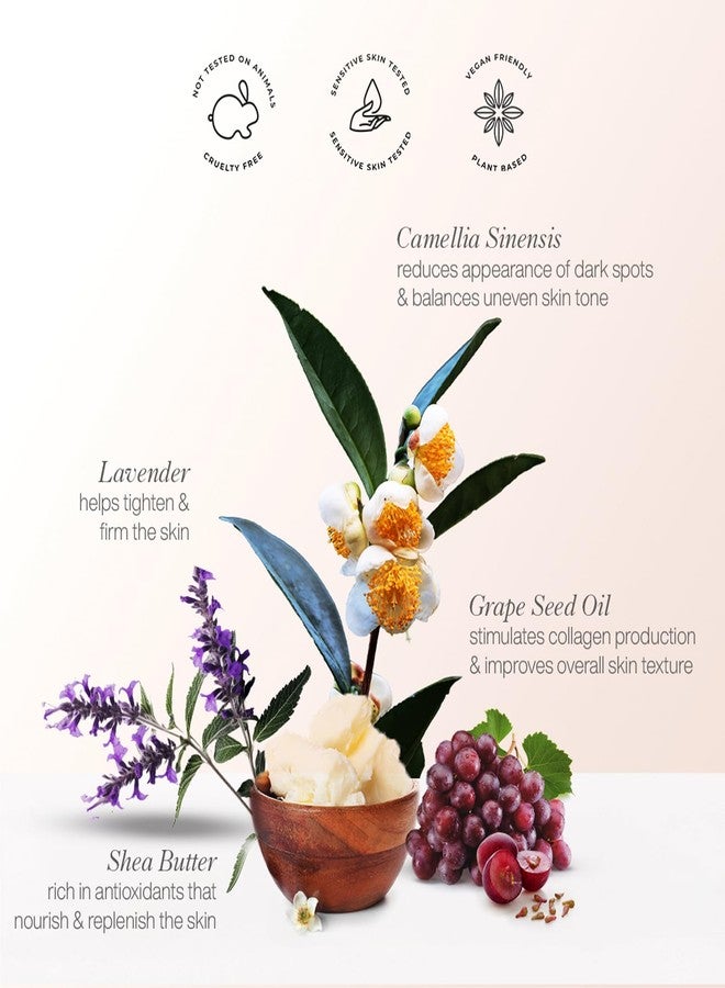 OW Organic Works Daily Hydration Renewal Night Cream - Nourishing Night Cream with Camellia Sinensis and Lavender - Suitable for All Skin Types - 1.69 oz - Image 3