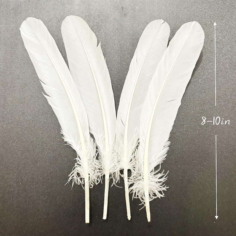 XKTEI White Feathers,Natural Big Long Goose Feather,8-10 inches (20-25cm),Large Size Bilateral Feathers,Left and Right Wings for Crafts,Bulk 12pcs (Natural White) - Image 3