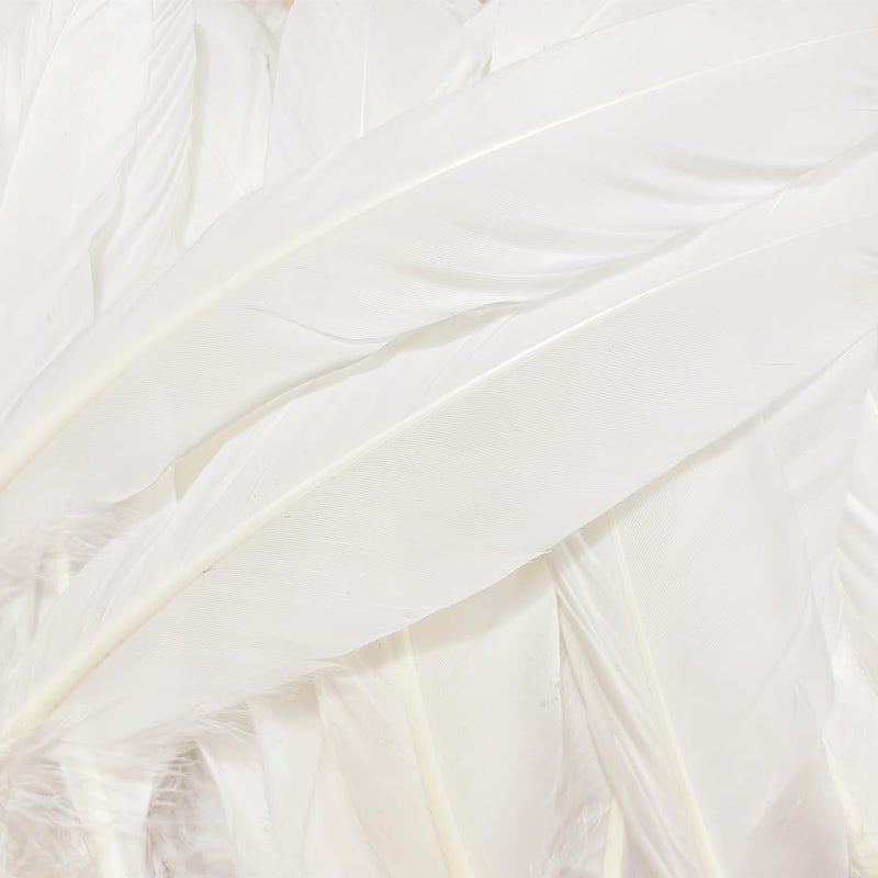 XKTEI White Feathers,Natural Big Long Goose Feather,8-10 inches (20-25cm),Large Size Bilateral Feathers,Left and Right Wings for Crafts,Bulk 12pcs (Natural White) - Image 2