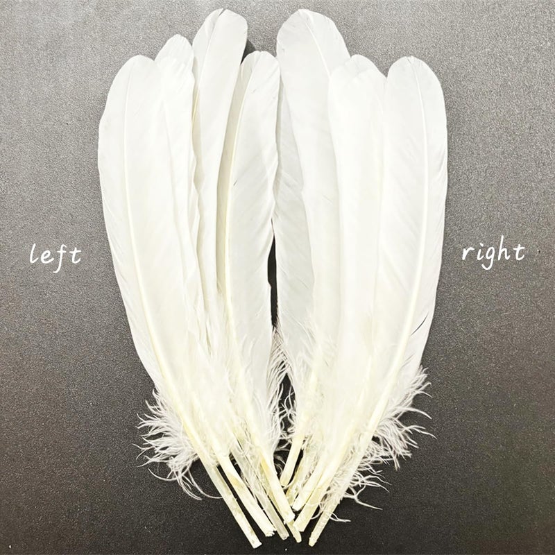XKTEI White Feathers,Natural Big Long Goose Feather,8-10 inches (20-25cm),Large Size Bilateral Feathers,Left and Right Wings for Crafts,Bulk 12pcs (Natural White) - Image 5