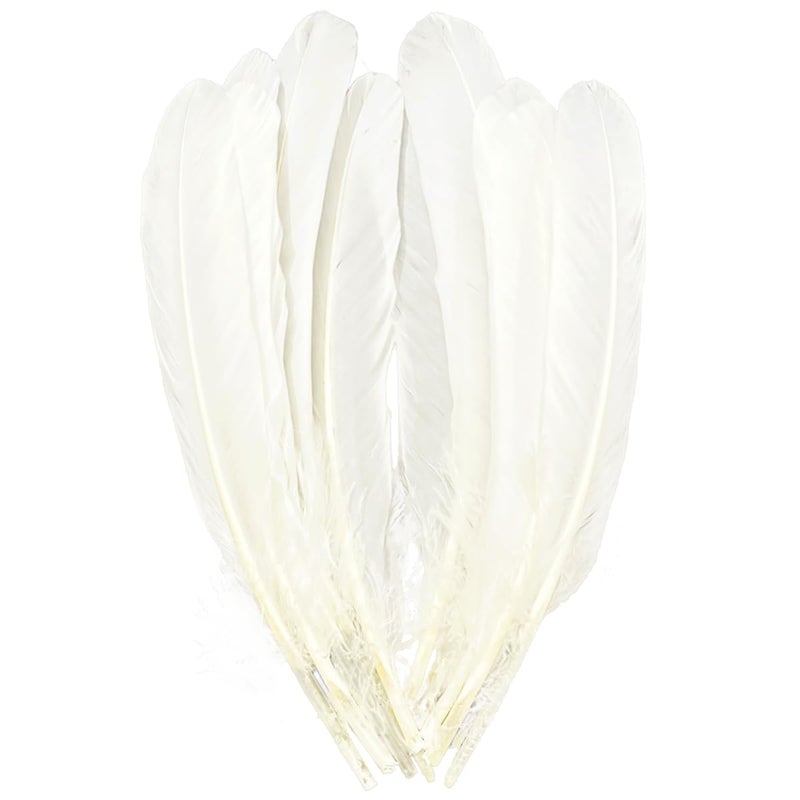 XKTEI White Feathers,Natural Big Long Goose Feather,8-10 inches (20-25cm),Large Size Bilateral Feathers,Left and Right Wings for Crafts,Bulk 12pcs (Natural White) - Image 1