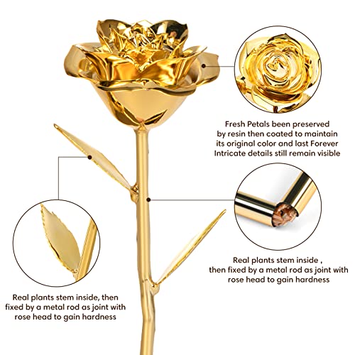 Anthonic Gold Dipped Rose Real 24K Gold Rose, Genuine One of a Kind Rose Hand Dipped in 24K Golden Roses Romantic Gifts for Women in Her Birthday Anniversary Day Mothers Day - Image 2