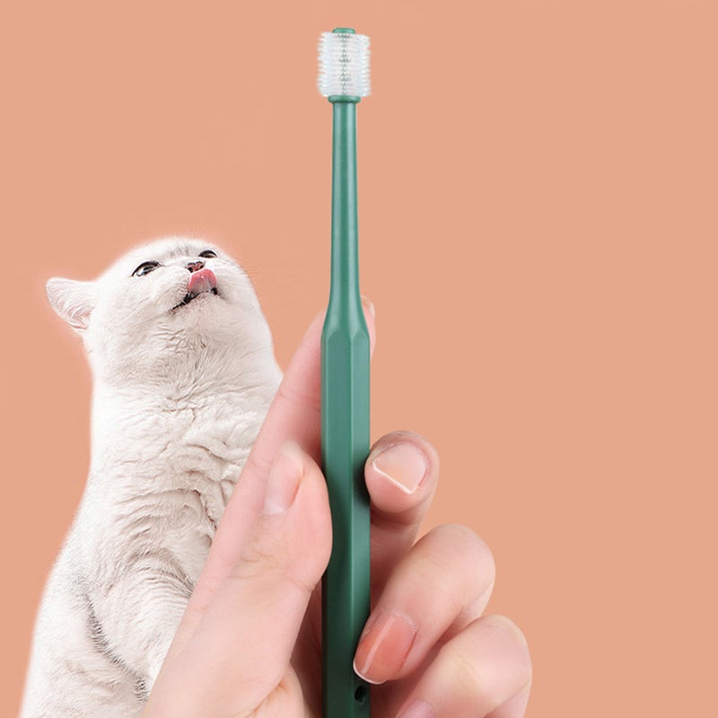 🐾 فرشاة أسنان للكلاب للاستخدام المنزلي مريحة بمقبض غير قابل للانزلاق بألوان متنوعة - Image 2