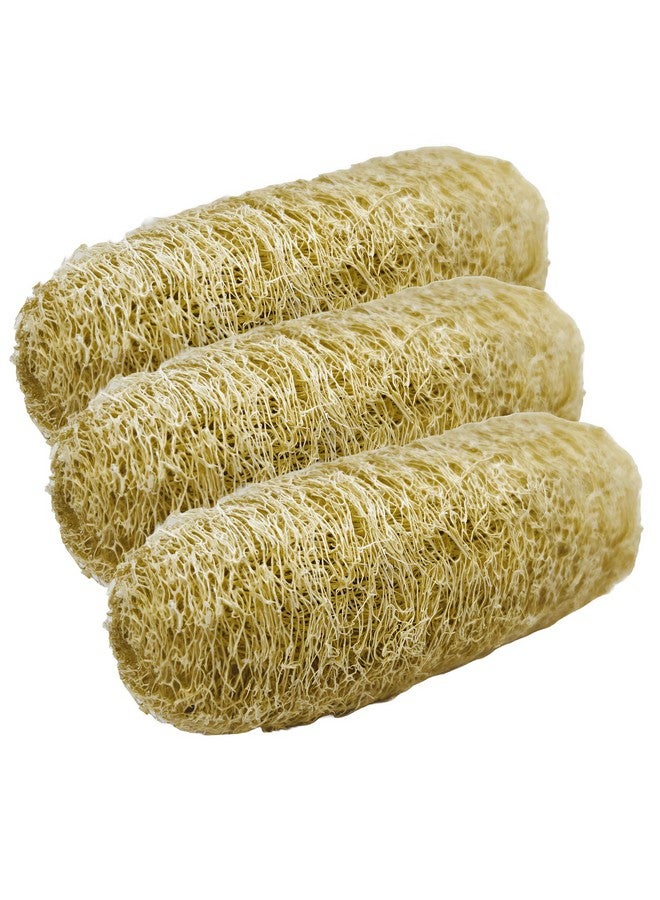 Natural Shower Luffa Sponge Body Scrubber | Luffa (Peerkangai) Bath scrub is Body Cleansing Removing Dead Skin Cells - Skin Care in Bath Spa Shower By SNKM (Pack of 3) - Image 1