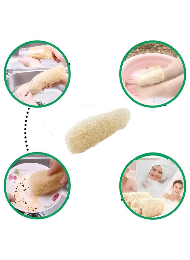 Natural Shower Luffa Sponge Body Scrubber | Luffa (Peerkangai) Bath scrub is Body Cleansing Removing Dead Skin Cells - Skin Care in Bath Spa Shower By SNKM (Pack of 3) - Image 5