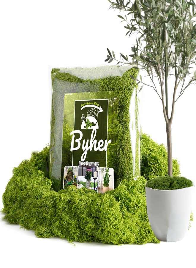 BYHER طحالب صناعية من بايهر للنباتات الداخلية، عبوة اقتصادية 7 أونصة - عشب صناعي للأعمال اليدوية وتنسيقات الزهور والنباتات المحفوظة في أصص، بديل طبيعي للطحالب في أحواض النباتات الزجاجية وحدائق الجنيات (أخضر فاتح) - Image 1