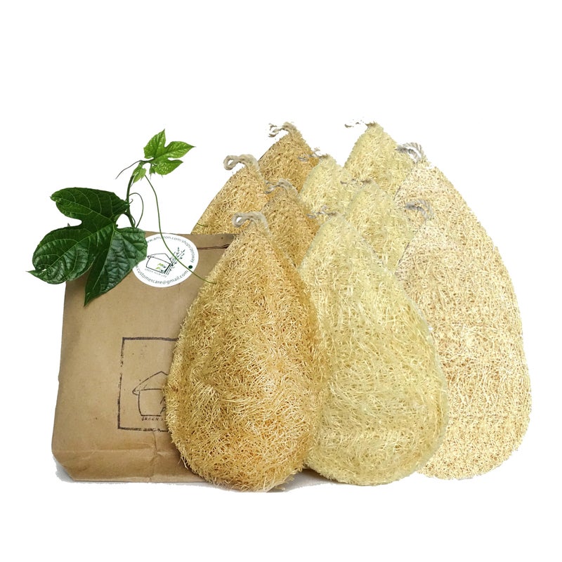 Miw Piw Natural Loofah Dish Sponge Pack 10 Vegetable Scrubber for Kitchen  100 Biodegradable Compostable Dishwashing Scouring Pad Zero Waste