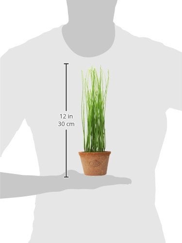 Esschert Design Artificial Herb Plant  Chives  Small - Image 3