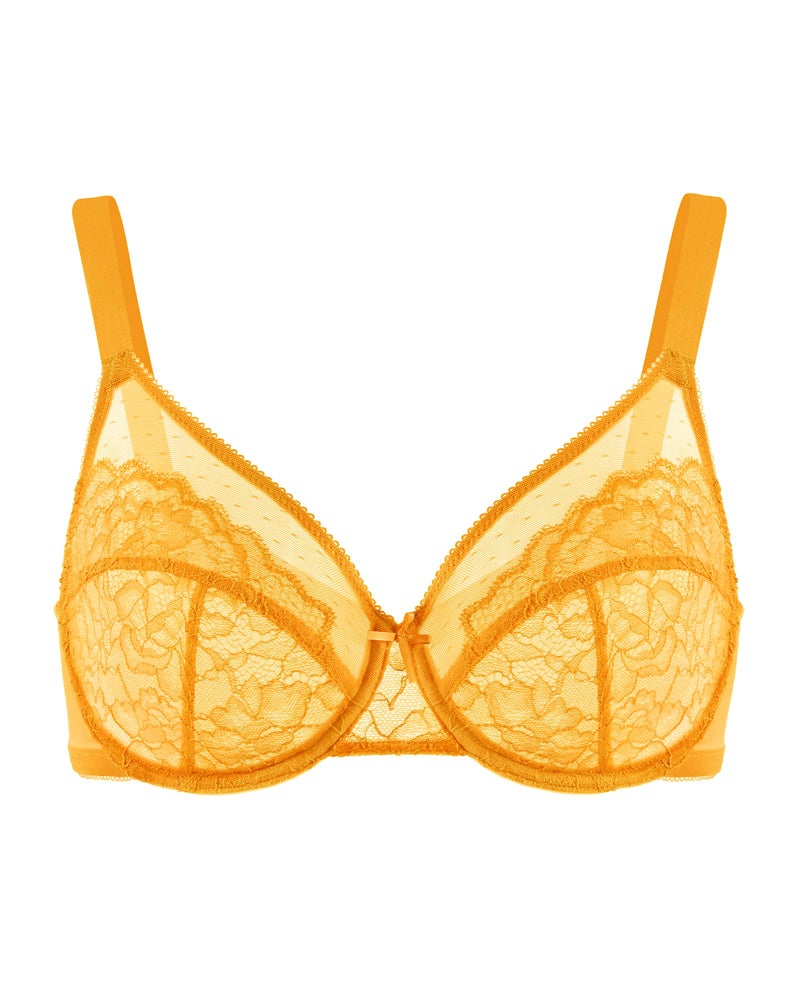 HSIA Minimizer Bras for Women Enchante Full Coverage Underwire Bras Plus Size Lifting Floral Lace Bra for Heavy Breast - Image 5