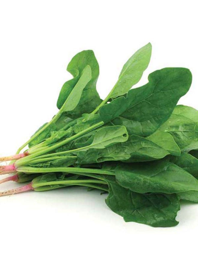 Spinach Organic Vegetable Seeds