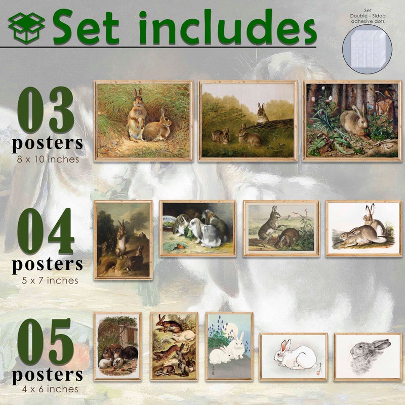 LANCHI95 12 PCS Bunny Easter Wall Art, Vintage Rabbit Art Print, Bunny Pictures Wall Decor, Rabbit Art, Decorative paintings for Easter (UNFRAMED) - Image 2