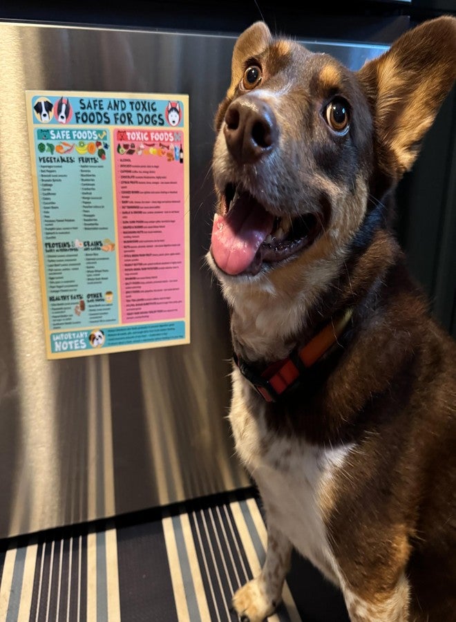 Lone Star Art مغناطيس 8.5 × 11 للأطعمة الآمنة والسامة للكلاب - مخطط سلامة الحيوانات الأليفة ودليل تغذية الكلاب، مقاوم للماء والرطوبة - (عبوة من قطعة واحدة) - Image 3