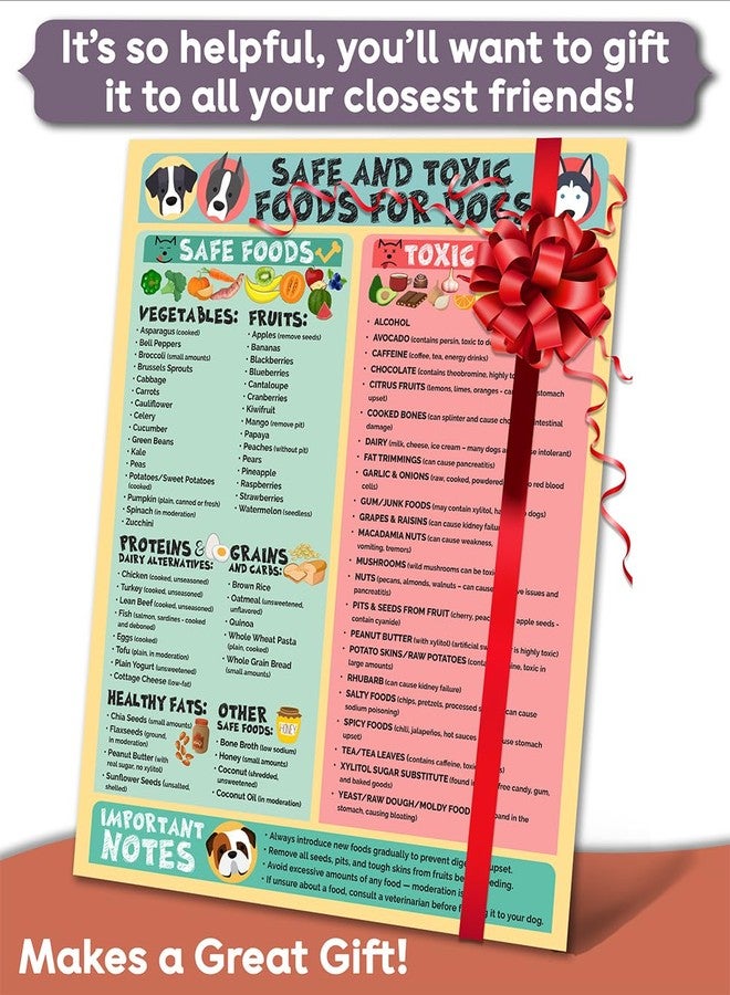Lone Star Art مغناطيس 8.5 × 11 للأطعمة الآمنة والسامة للكلاب - مخطط سلامة الحيوانات الأليفة ودليل تغذية الكلاب، مقاوم للماء والرطوبة - (عبوة من قطعة واحدة) - Image 2
