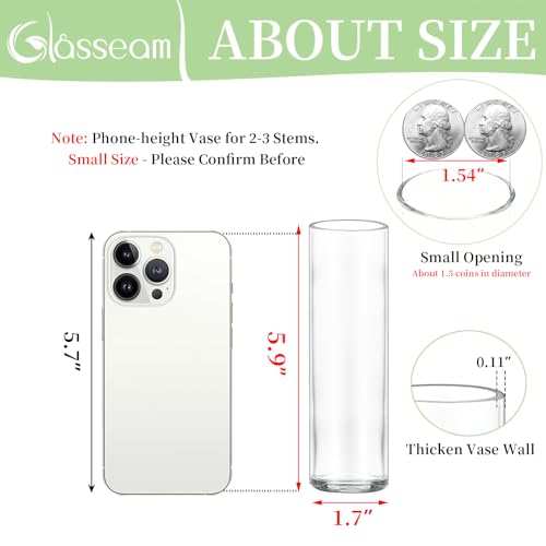 Glasseam Small Cylinder Glass Vases for Centerpieces: Glasseam Clear Vase Set of 12 Modern Centerpiece Vases for Table Wedding Home Party Decor 5.9In Bud Vase for Flowers Single Stem Roses Tulips - Image 2