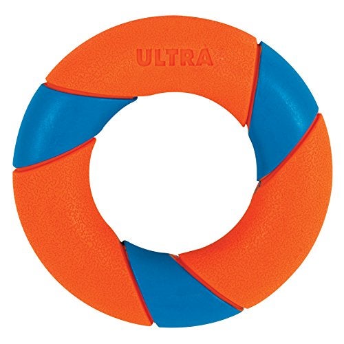 Chuckit! UltraRing Fetch and Chase Outdoor Dog Toy All Breeds - Image 5