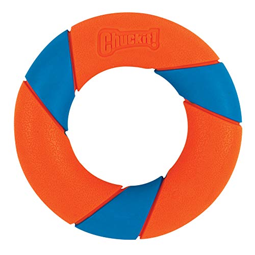 Chuckit! UltraRing Fetch and Chase Outdoor Dog Toy All Breeds - Image 4