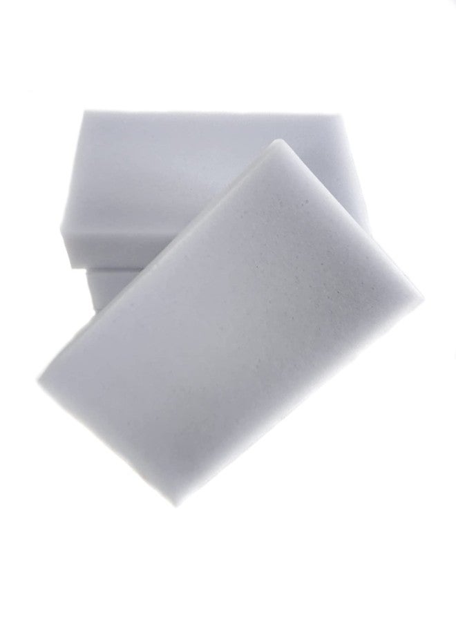 Josh's Frogs Terrarium Cleaning Sponges (4 Pack) - Image 4