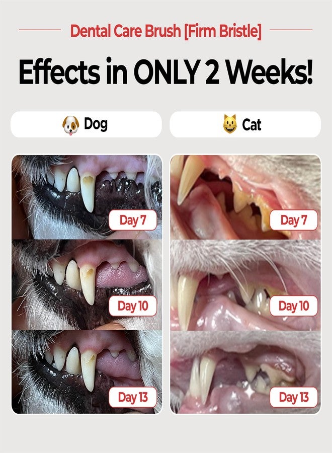 JAYU PET Dental Care Brush, Firm Bristles, 1ea - Image 2