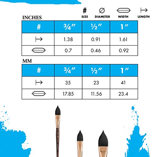Princeton Neptune Oval Wash Brush, Synthetic, Short Handle, Size 3/4 inch, 1 Count - Image 3