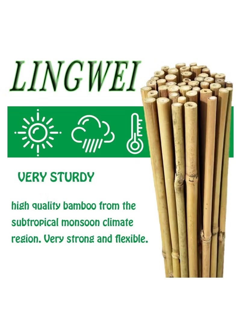 لينجوي أعمدة من خشب البامبو الطبيعي السميك (100 سم) أعواد دعم نبات الكرمة للحدائق الطويلة وحصص الزهور والنباتات ((100 سم) (20 قطعة)) - Image 1