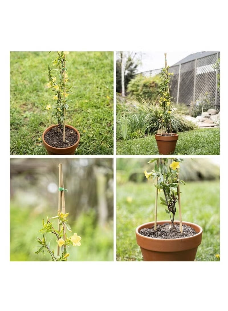 لينجوي أعمدة من خشب البامبو الطبيعي السميك (100 سم) أعواد دعم نبات الكرمة للحدائق الطويلة وحصص الزهور والنباتات ((100 سم) (20 قطعة)) - Image 3