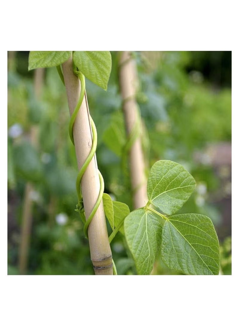 لينجوي أعمدة من خشب البامبو الطبيعي السميك (100 سم) أعواد دعم نبات الكرمة للحدائق الطويلة وحصص الزهور والنباتات ((100 سم) (20 قطعة)) - Image 2