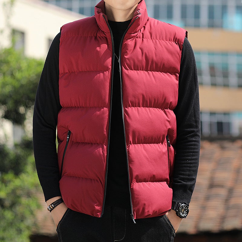 Vest mens autumn and winter new cotton-padded waistcoat waistcoat Korean fashionable down cotton-padded jacket autumn and winter coat mens clothing Blue - Image 4