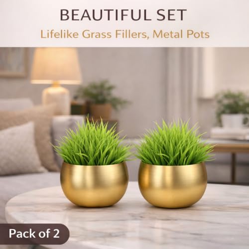 Akaar Decor's Metal Moon Design Vase with Golden Finish with Artificial Hydrangea Flowers | Plants | Table Decorative Flower Pot | Vase with Flowers (AK_Metal_Pot_Fern_2) - Image 5