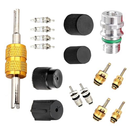 Downhill 16 PCS Air Condition Valve Core Kit R134A AC Ducts Pressure Caps and Service Valves Universal AC System Charging Port Maintain Accessories for Most Cars Trucks SUVs Black - Image 1