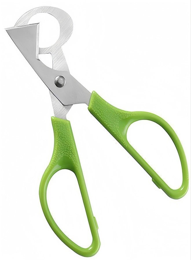 LIUSM Green Quail Egg Cutter Scissors Kitchen Shears Tool-2 Pcs - Image 5