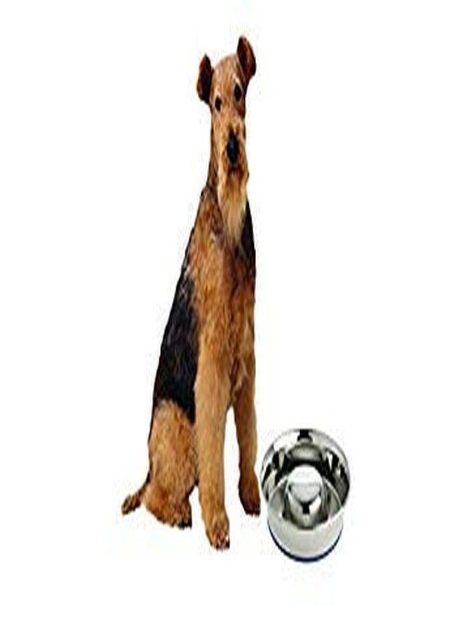 أور بيتس وعاء طعام الكلاب الفاخر المصنوع من الفولاذ المقاوم للصدأ من OurPet's Durapet، فضي، كبير (2040010302) - Image 5
