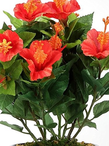 Fourwalls Artificial Hibiscus Flower Bonsai Plant in a Ceramic Vase for Home and Office Decor (31 cm Tall, Red) - Image 5