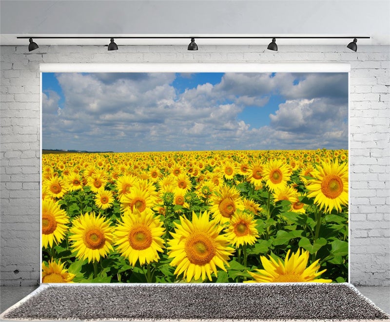AOFOTO 5x3ft Spring Sunflowers Backdrop Natural Yellow Flowers Field Rural Ranch Background for Wedding Idyllic Countryside Farmland Photography Backdrop Kid Child Art Portrait Photo Studio Props - Image 4
