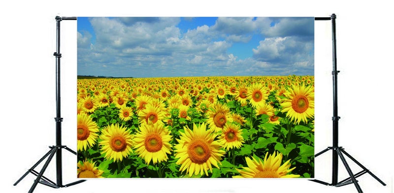 AOFOTO 5x3ft Spring Sunflowers Backdrop Natural Yellow Flowers Field Rural Ranch Background for Wedding Idyllic Countryside Farmland Photography Backdrop Kid Child Art Portrait Photo Studio Props - Image 3