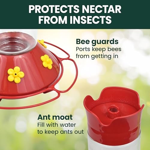Perky-Pet 209B-1SR Glass Hummingbird Feeders for Outdoors Hanging - 30 fl oz Nectar Capacity - Ant & Bee Guarded Red Bird Feeder - Image 4