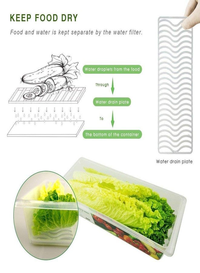 Raawan Plastic Storage Containers Set for Kitchen | Pantry Organizers for Grains, Pulses, Cereal, and Dry Fruits | Leak-Proof, Durable, and Space-Saving (4, 1500ml) - Image 2