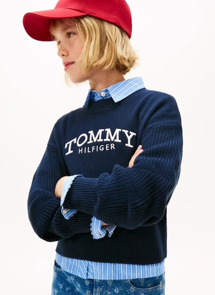 TOMMY HILFIGER Kids Logo Crew Neck Sweater